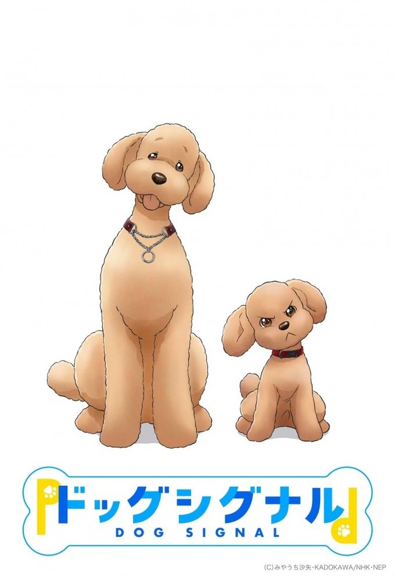 Dog Signal (2023)