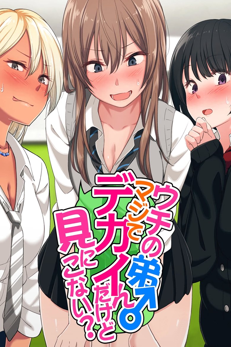 Uchi no Otouto Maji de Dekain Dakedo Mi ni Konai? (2021)