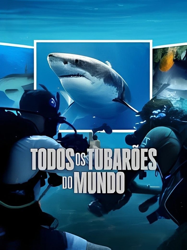Todos os Tubarões do Mundo (2025)